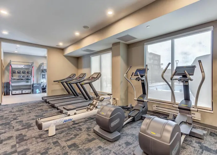 1br W Lounge Pool Gym Nr Metra Chi-861 Apartment Elmhurst